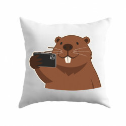 Подушки габардин