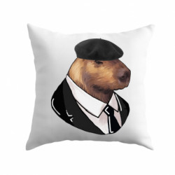 Подушки плюш