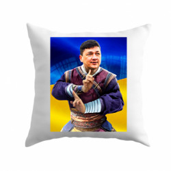 Подушки плюш