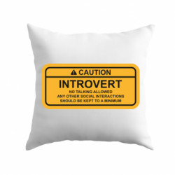 Подушки плюш