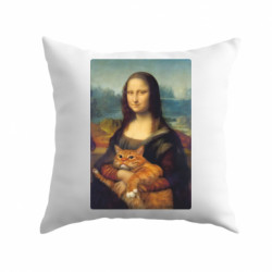 Подушки плюш