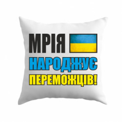 Подушки плюш