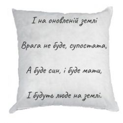 Подушки плюш