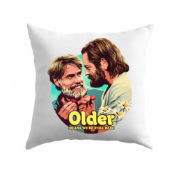 Подушки плюш