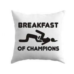 Подушки плюш