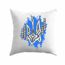 Подушки плюш