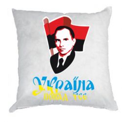 Подушки плюш
