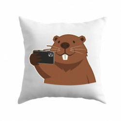 Подушки плюш