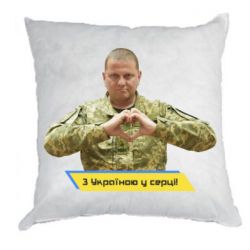 Подушки плюш