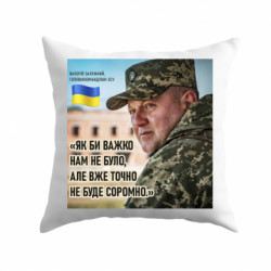 Подушки плюш