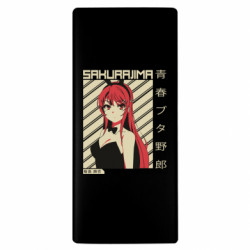 Повербанки 10000 mAh