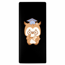 Повербанки 10000 mAh