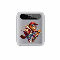 Повербанки 10000 mAh Tipo