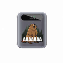 Повербанки 10000 mAh Tipo