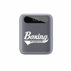 Повербанки 10000 mAh Tipo