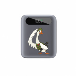 Повербанки 10000 mAh Tipo