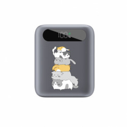 Повербанки 10000 mAh Tipo