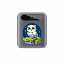 Повербанки 10000 mAh Tipo