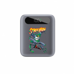 Повербанки 10000 mAh Tipo