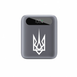 Повербанки 10000 mAh Tipo