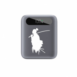 Повербанки 10000 mAh Tipo