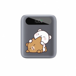 Повербанки 10000 mAh Tipo