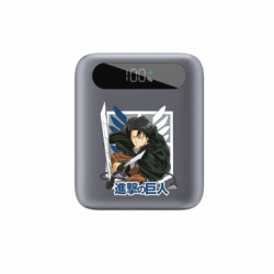 Повербанки 10000 mAh Tipo