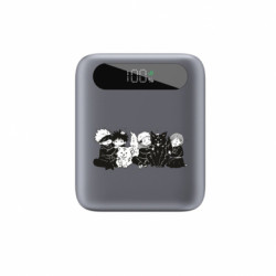 Повербанки 10000 mAh Tipo