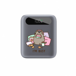 Повербанки 10000 mAh Tipo