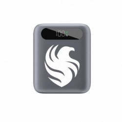 Повербанки 10000 mAh Tipo