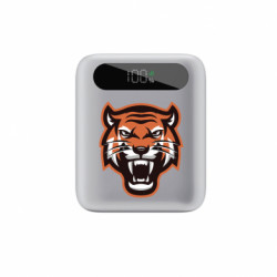 Повербанки 10000 mAh Tipo