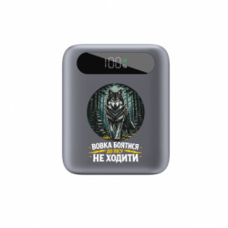 Повербанки 10000 mAh Tipo