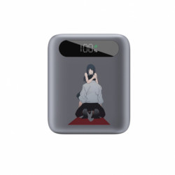 Повербанки 10000 mAh Tipo