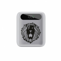 Повербанки 10000 mAh Tipo