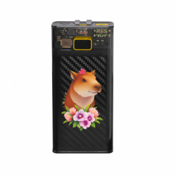 Повербанки 20000 mAh Air