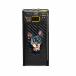 Повербанки 20000 mAh Air