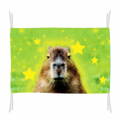 Прапор Капібара та зірки - FATLINE Прапор Капібара та зірки