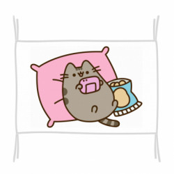 Флаг Pusheen Chilling - FATLINE Флаг Pusheen Chilling