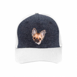 Кепки премиум