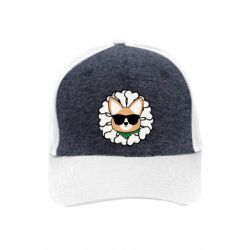 Кепки премиум