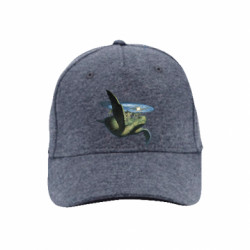 Кепки премиум