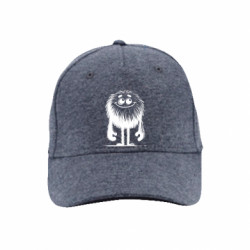 Кепки премиум