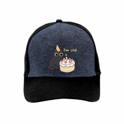 Кепки премиум