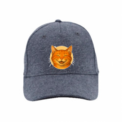 Кепки премиум