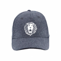 Кепки премиум