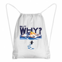 Рюкзаки-мішки