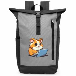 Рюкзаки-мешки для ноутбуков