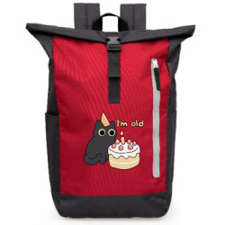 Рюкзаки-мешки для ноутбуков