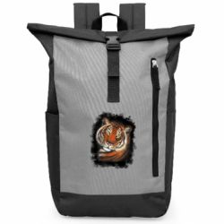 Рюкзаки-мешки для ноутбуков