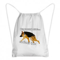 Рюкзаки-мешки